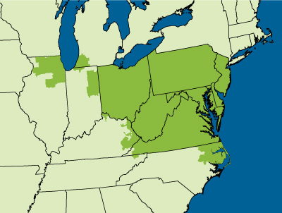 PJM-EIS Footprint